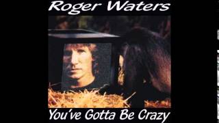 Roger Waters  Amused To Death [upl. by Summons350]