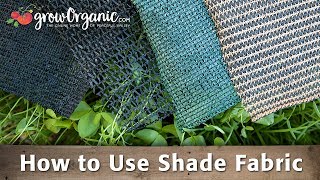 How to Use Shade Fabric amp Protect Your Plants from the Extreme Summer Heat [upl. by Durwin857]