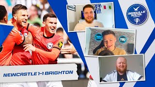 The Final Away Day Of The Season  Newcastle 11 Brighton  SEAGULLS SOCIAL  S4  EP42 [upl. by Nauqaj]