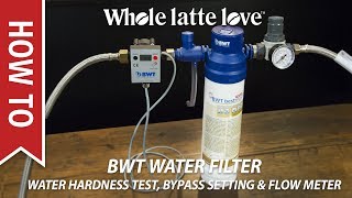 How To BWT Water Filter Hardness Testing Bypass Setting amp Flow Meter Programming [upl. by Donella345]