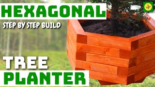 Hexagon Tree Planter  6 Sides  How to Build using Basic Tools [upl. by Alviani]