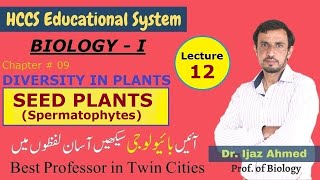 Seed Plants Spermatophytes Evolution of SeedsCh8DIVERSITY IN PLANTS 1ST YEAR Dr IJAZ LEC12 [upl. by Zendah]