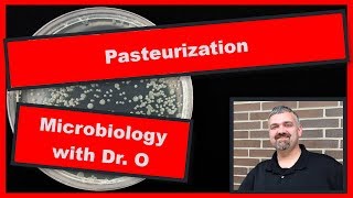 Pasteurization Microbiology [upl. by Eindys]