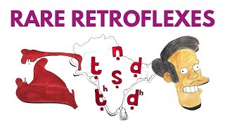 What Are the Retroflexes  Languages of South Asia [upl. by Derte]