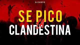 •🔥 SE PICO LA CLANDESTINA 5 🔥•  ALTA JODA  FIESTA 2021  LO MEJOR   DJ Cu3rvo [upl. by Zane897]