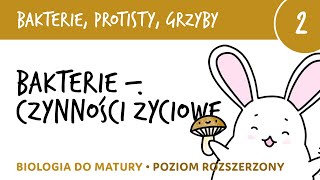 Bakterie protisty grzyby 2  Czynności życiowe bakterii  biologia do matury rozszerzona liceum [upl. by Haym]