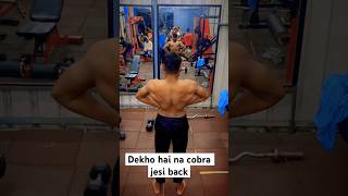 Dekho bana li cobra 🐍 jesi back 🔥🔥🔥 viralvideo explore gymmotivation bodybuldinglifestyle [upl. by Olethea928]