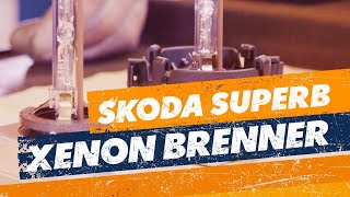 XenonLampe wechseln  Skoda Superb TUTORIAL [upl. by Turner]