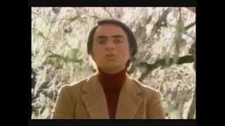 Carl Sagan  Big Bang amp God subtitles [upl. by Deck900]