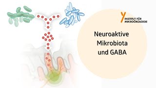 Neuroaktive Mikrobiota und GABA [upl. by Naimerej]