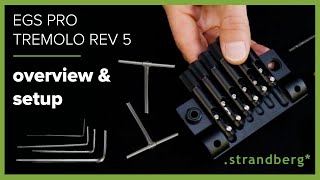 EGS Pro Tremolo Rev 5 Overview amp Setup [upl. by Ahsirak]