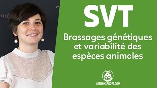 Brassages génétiques et variabilité des espèces animales  SVT  Terminale  Les Bons Profs [upl. by Cecilius]