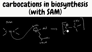 Biosynthesis pathways part 5  carbocations from SAM [upl. by Vitus595]