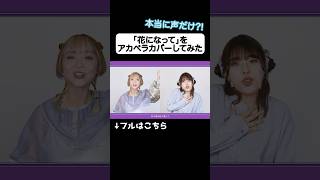 本当に声だけなの「花になって」アカペラで歌ってみた『薬屋のひとりごと』緑黄色社会【momimaruコラボ】beatbox [upl. by Assennev]