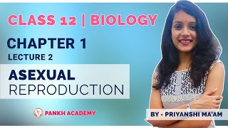 Asexual Reproduction Class 12 Biology Chapter 1  Reproduction in Organisms Pankh Academy  Part 2 [upl. by Soisatsana]