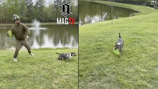 Juveniles Dog quotManiacquot Saves Football From Falling Into Lake While Running Routes 🐶 [upl. by Notna]