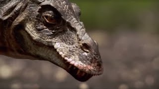 Hunting with a TRex  Walking with Dinosaurs in HQ  BBC Earth [upl. by Ferwerda316]