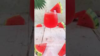 Campari Watermelon Spritz Cocktail Recipe by The Ice Co [upl. by Ahnavas692]