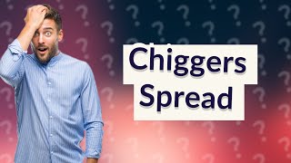 How do chiggers spread on your body [upl. by Aihsenyt]