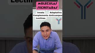 Inmunidad innata vs adaptativa en 1 minuto [upl. by Akinhoj]