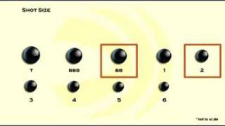 Choosing Shot Size [upl. by Valeria720]