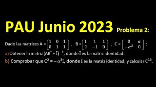 SEL  MATRICES  MATEMÁTICAS PAU SELECTIVIDAD [upl. by Ahsatak]