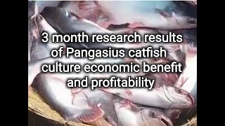 Pangasius catfish culture and farming method [upl. by Francklyn]