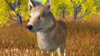 WolfQuest trailerpreview [upl. by Brest]