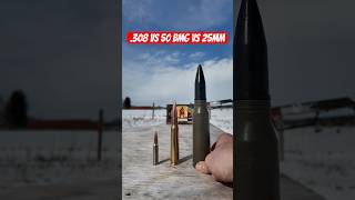 25mm Bushmaster is HUGE Want Me To Fire It civtac gun 50bmg [upl. by Schaaff]