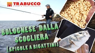 Trabucco TV  Canna bolognese dalla scogliera [upl. by Akayas76]