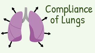 Compliance of Lungs [upl. by Icak]