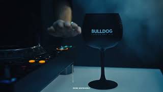 Liquid Beats Bulldog Gin x C2C Festival [upl. by Elson219]