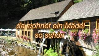 Die Mühle im Schwarzwälder Tal mit TextLyrics zum Mitsingen [upl. by Shelden8]