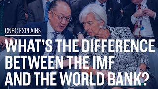 Whats the difference between the IMF and the World Bank  CNBC Explains [upl. by Welcome]