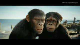 Kingdom of the Planet of the Apes 2024 Preview  Trailer [upl. by Goles254]