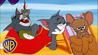 Tom amp Jerry  Full Screen Action  Classic Cartoon Compilation  wbkids​ [upl. by Newsom760]