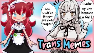 Trans MEMES to start your Day with rtraa amp reggirl feat CeruleanPrince [upl. by Rodina]