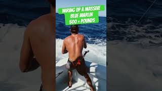 Blue Marlin Fishing  Wiring a Massive Fish fishing fishingvideo fishinglife [upl. by Trefor]