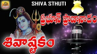 Prabhum Prananatham Vibhum Vishwanatham  Shiva ashtakam  Shiva Stuti Telugu  Shiva Stotram [upl. by Murdoch]