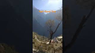 Auli Road Tripuploadshorts 🥰travel nature trekking travelvlogআউলি উওরাখন্ড ভ্রমনে অভিঙ্গতা💓 [upl. by Ecar215]