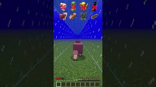 Water Damage vs Different Mobs meme shorts minecraft [upl. by Ap]