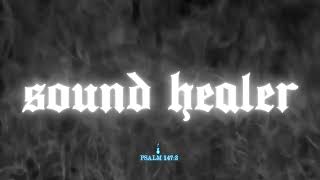 Crudo Means Raw  Sound Healer  Lyric Video [upl. by Phail]