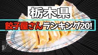 【4K】 宇都宮餃子の（ほぼ）すべてがわかる！「栃木県餃子屋さんランキング20」 [upl. by Hermy]