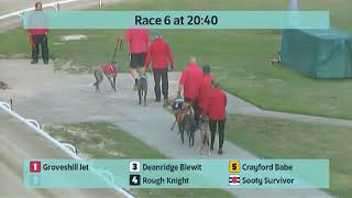 Crayford Greyhounds Races on 15th July 2023 [upl. by Hsevahb]