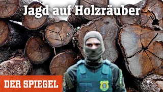 Jagd auf Holzräuber Wie die Rettung des Amazonas gelingen kann  DER SPIEGEL [upl. by Abrahams]