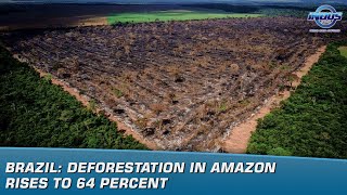 Brazil Deforestation in Amazon rises to 64 percent  News Bulletin  Indus News [upl. by Elconin508]