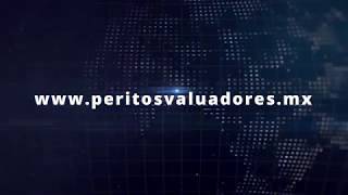 ¿QUÉ ES UN PERITO VALUADOR [upl. by Lorou]