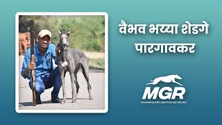 Greyhound exercises  ग्रेहाऊंड श्वानाचा व्यायाम [upl. by Nnyl494]