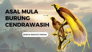 ceritarakyat Asal Mula Burung Cendrawasih papua [upl. by Willner874]