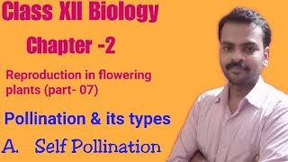 Self pollination स्व परागण Class 12 Biology chapter2 part07 by Dhananjay sir [upl. by Dumah317]